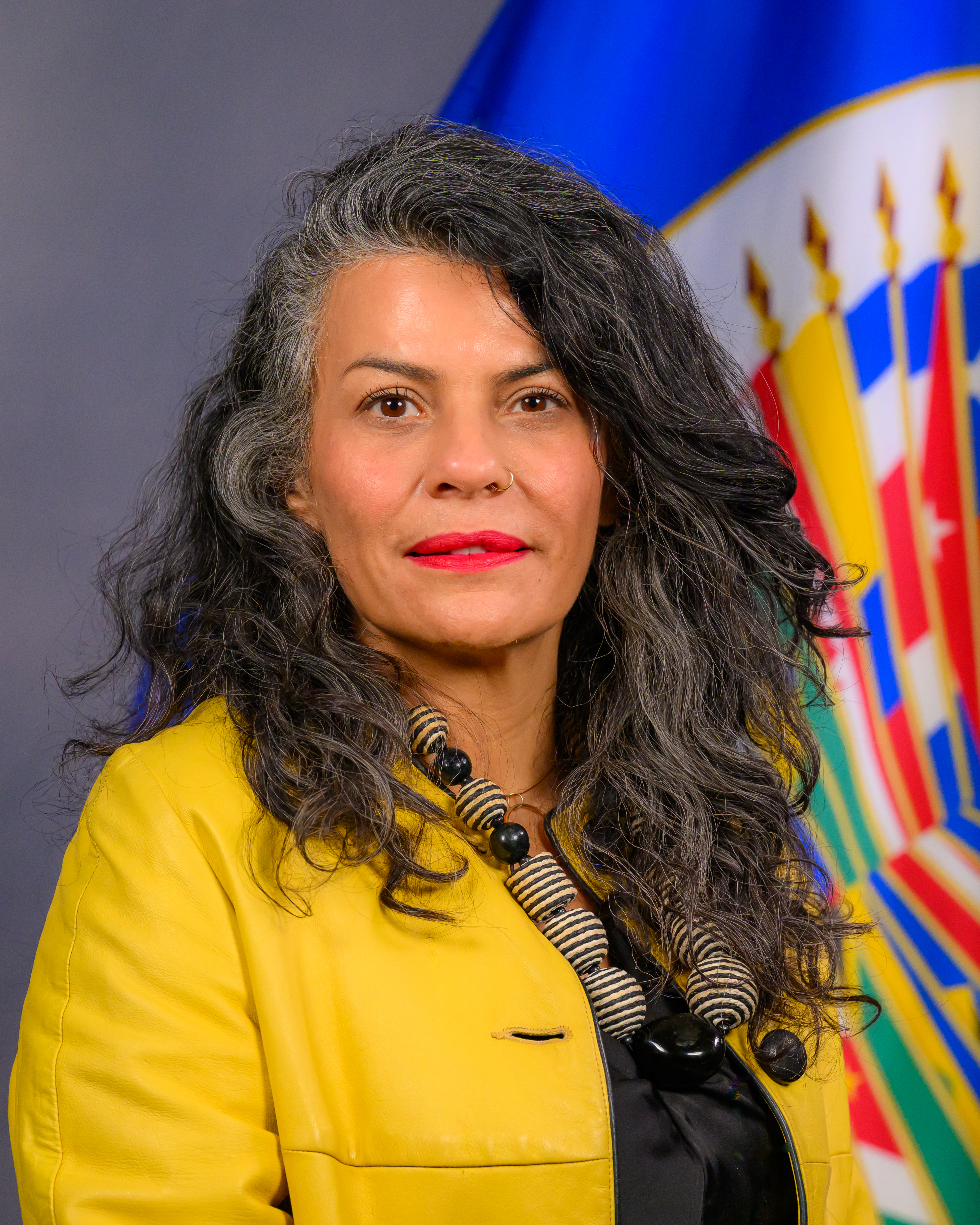 OEA ADVIERTE  SOBRE ALTOS NIVELES DE VIOLENCIA SEXUAL Y EMBARAZO INFANTIL EN PARAGUAY 
    
    <div class=