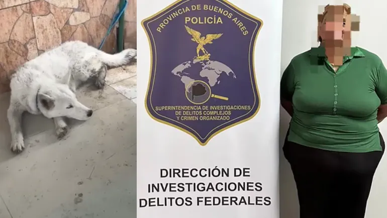 DETIENEN A “LA PARAGUAYA” POR NARCOMENUDEO Y HALLAN LOBO BLANCO EN SU VIVIENDA
    
    <div class=